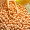 SOJA NON-GMO